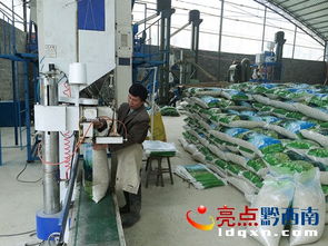 晴隆總投資800萬元琳隆薏仁米加工廠建成投產，優化投資管理助力鄉村振興